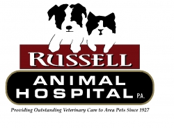 veterinary signs, concord, nh